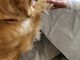 La Pet Therapy arriva all'hospice di Nizza Monferrato