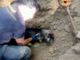 Alcune immagini relative il salvataggio della cagnolina