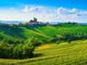 ONAV celebra Alto Piemonte e Gran Monferrato Città del Vino 2024
