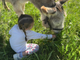 Family Experience tra natura e animali di Asintrekking