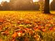 L'autunno in Piemonte? Più caldo della media, soprattutto nel mese di settembre