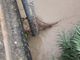 Castelnuovo Belbo: la piena del fiume passa senza criticità, massima allerta dalle istituzioni [FOTO E VIDEO]