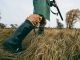 Sospesa la caccia a quattro specie in Piemonte: la Regione chiede chiarimenti al TAR