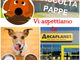 La locandina dell'iniziativa