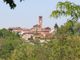 Un panorama di Tigliole