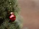 Tradizione e divertimento: questo fine settimana si celebra l'Immacolata nell'Astigiano