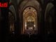 Le immagini del concerto di ieri, Santo Stefano, in Collegiata (Merphefoto)