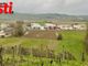 Asti Agricoltura: perplessità sul progetto BESS a Incisa Scapaccino