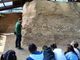 Aprile al Parco Paleontologico: eventi per famiglie tra fossili e natura