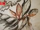 Le immagini della mostra negli scatti di Efrem Zanchettin