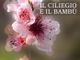 Incontro con l’autore: &quot;Il ciliegio e il bambù&quot; alla biblioteca comunale di Ferrere