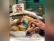 Torna ad Asti la super veterinaria Monica Pais per presentare il docufilm girato nella clinica veterinaria più famosa d'Italia, la Duemari di Oristano [TRAILER]