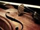 I maestri del violino italiano