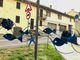 Pesciolini in strada a Villafranca