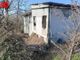 La colonia felina della Casa dell'Avvocato (Merphefoto)