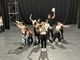 Immagini relative le prove della messa in scena dello spettacolo