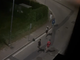 Il gruppo di vandali in fuga
