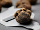 Tartufo nero dell'Astigiano, presto in fiera