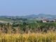 Colline Cocconato Colline Cocconato