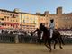 La tratta del Palio (Ph Comune di Siena) La tratta del Palio (Ph Comune di Siena)