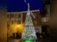 L'albero di Rocchetta (archivio) L'albero di Rocchetta (archivio)