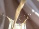 Latte in crisi, prezzi in caduta libera