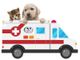A Moncalvo arriva l'ambulanza veterinaria: soccorso h24 per gli animali domestici