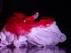 Gala della Danza a Canelli: il 23 aprile le compagnie Jeune Ballet Désoblique ed EgriBiancoDanza insieme alle scuole del territorio