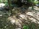 Parco Rio Crosio, allarme dei cittadini: “Fossi ostruiti e rischio frane” Parco Rio Crosio, allarme dei cittadini: “Fossi ostruiti e rischio frane”