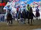 Le immagini del Palio (Ph Rozzino Filippo)