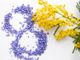 In occasione dell'8 marzo, anche ad Asti un ricco calendario di eventi