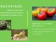 Martedì sera torna &quot;Backstage&quot;. Al centro del nostro approfondimento i presidi Slow Food dell'Astigiano