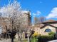 Il bi-albero di Bubbio, foto di Gianfranco Torelli