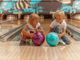 Asti ricomincia dal bowling, con il nuovo Enjoy Center. 24 piste, 16 tavoli da biliardo e locali rinnovati
