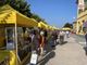 Al via a Castellero la quattro giorni dedicata alla nocciola dalla Fiera della nocciola allo Street food