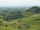 XI Festival del Paesaggio Agrario: sabato l'inaugurazione ad Asti