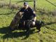 Due dei quattro cani salvati dai carabinieri forestali