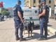 La polizia locale con Hero