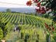 Continua lo “Storymoving Festival: Le Cascine e i Castelli”. Appuntamento domemica a Calamandrana