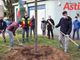 Oggi è la Festa dell'albero, anche nell'Astigiano iniziative e gesti concreti [FOTO]