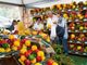 Carmagnola, al via la settantunesima Fiera Nazionale del Peperone &quot;speciale e diffusa&quot;