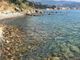 Relax, mare e piatti gourmet, la proposta per il week end a Sanremo dello stabilimento balneare La Caletta a Sanremo