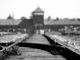 Immagine commemorativa Giorno della Memoria