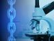 Immagine generica ricerca scientifica