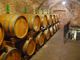 Una cantina vinicola