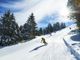 Sciatore su pista