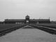 In occasione della Giornata della Memoria, lo spettacolo &quot;999 donne sopravvissute ad Auschwitz&quot;, di e con Fiorella Carpino