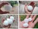 Un collage fotografico di grossi chicchi di grandine caduti in mattinata a Castelnuovo Don Bosco e a Cunico (immagini tratte dal canale telegram Dati Meteo Asti)