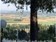 GreenLife: la prima fiera in Italia con un percorso olfattivo