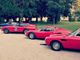 Un evento straordinario, Monrace GV Cup, per ricordare Gilles Villeneuve, toccherà Moncalvo